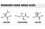 اسیدهای آمینه با زنجیره‌ی شاخه دار 