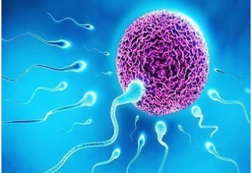 سلامت جنسی: مقایسه نشانگرهای آپوپتوزی اسپرم در مردان نابارور مبتلا به واریکوسل با مردان بارور 