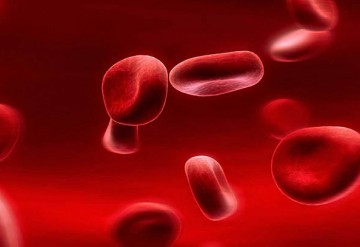 مروری بر تاثیر مواد معدنی بر فرایند خون سازی