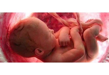 مطالعات نشان داد سطح پایین روی و مس ممکن است باعث سقط جنین خودبخودی شود