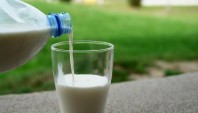 آیا شیر بهترین منبع ویتامین D است؟