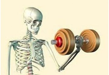تاثیر مصرف کربوهیدارت و پروتئین پس از ورزش بر متابولیسم استخوان