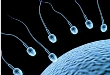 سلامت جنسی: تاثیر سطح روی بر کیفیت اسپرم در مردان بارور و نابارور