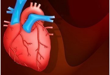 ارتباط ویتامین D با بیماری عروق کرونر قلب و تاثیر آگاهی عمومی بر آن