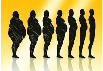 گارسینیا کامبوجیا: شواهد علمی موجود در مورد اثرات آن بر روی کاهش وزن و چربی