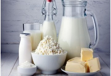 محتوی ویتامین B12 در شیر، کشک و  پنیر
